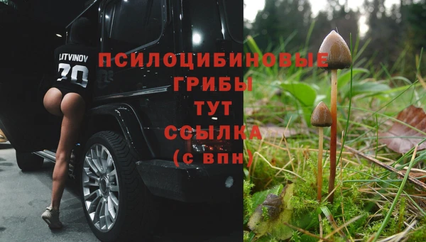 МДПВ Надым