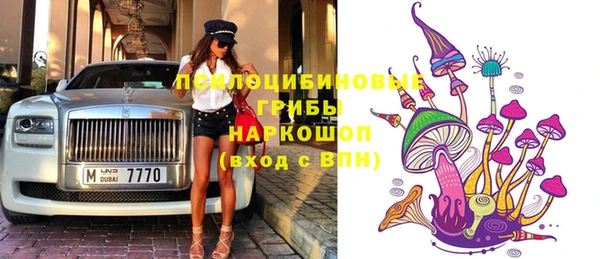 гашик Наволоки