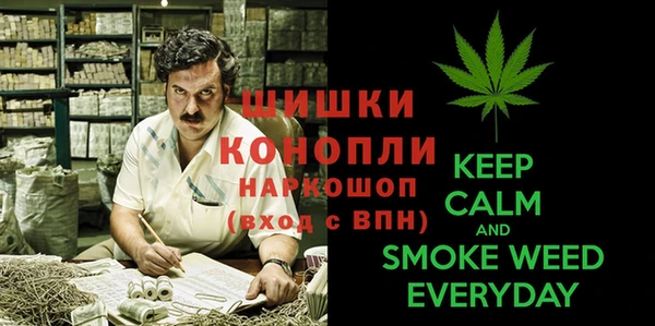 МДПВ Надым