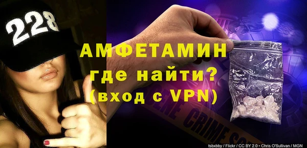 ГАЛЛЮЦИНОГЕННЫЕ ГРИБЫ Дмитриев