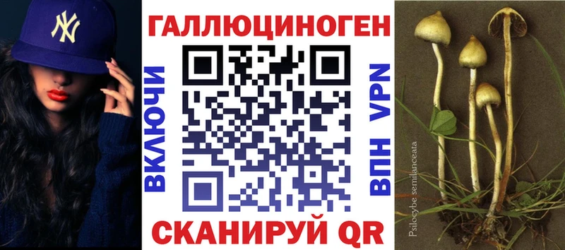 даркнет сайт  Губкин  Псилоцибиновые грибы мухоморы 