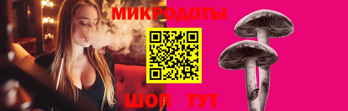 Губкин  Галлюциногенные грибы Psilocybine cubensis  Вход с VPN 