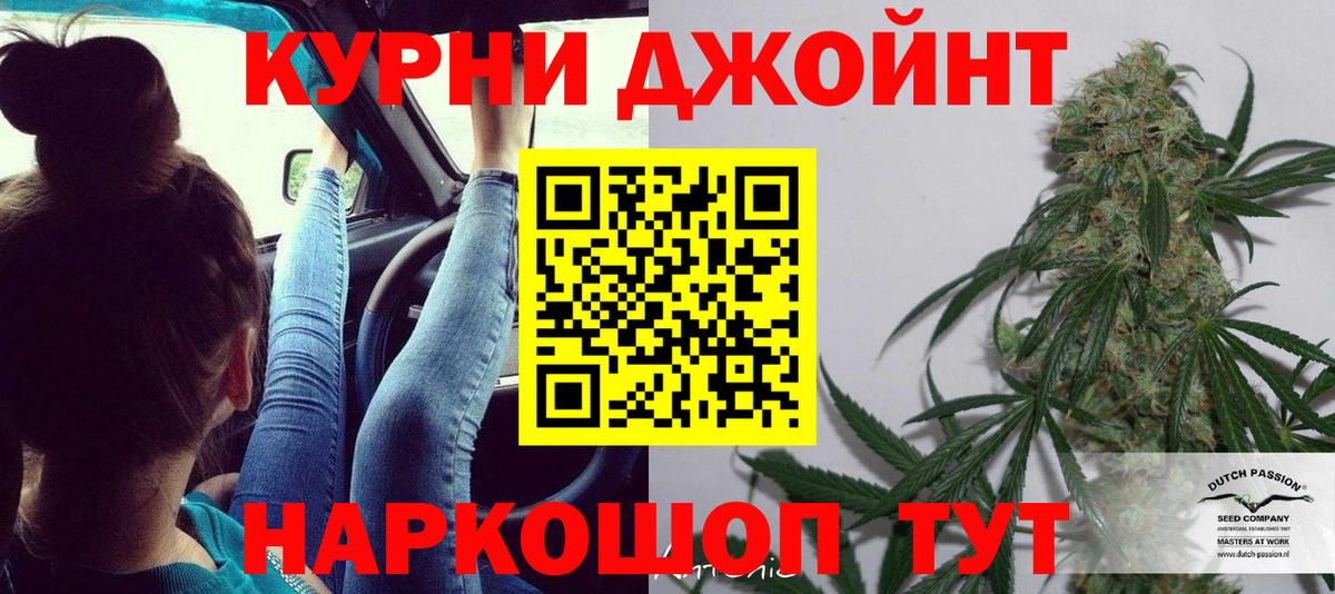 Бошки Шишки VHQ Губкин