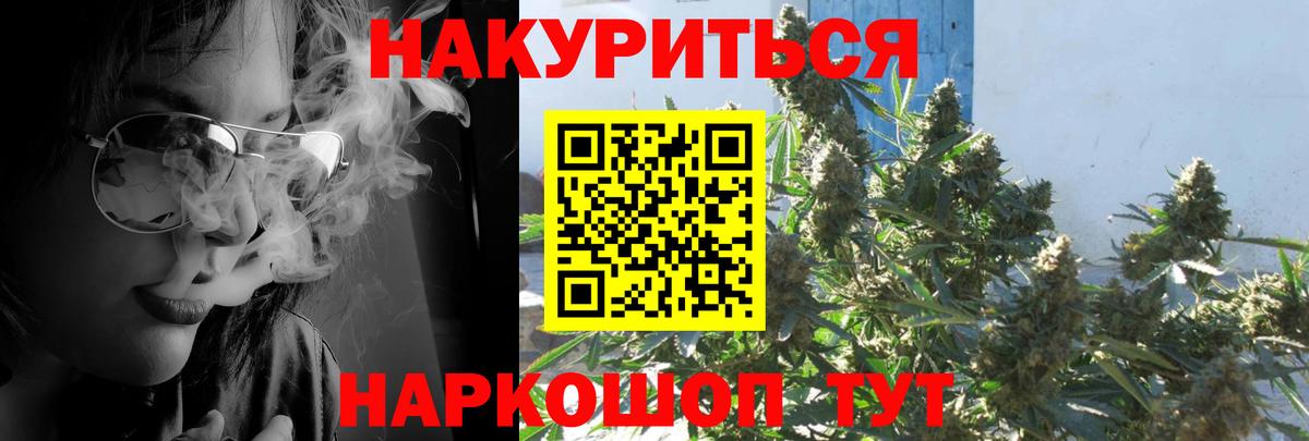 Канабис семена  Бошки марихуана индика  Бошки Шишки VHQ  Конопля планчик  Губкин 